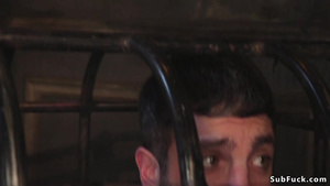 poster image