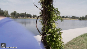 poster image