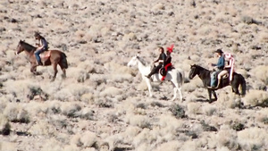 All the naked truth about sex life at the Wild West